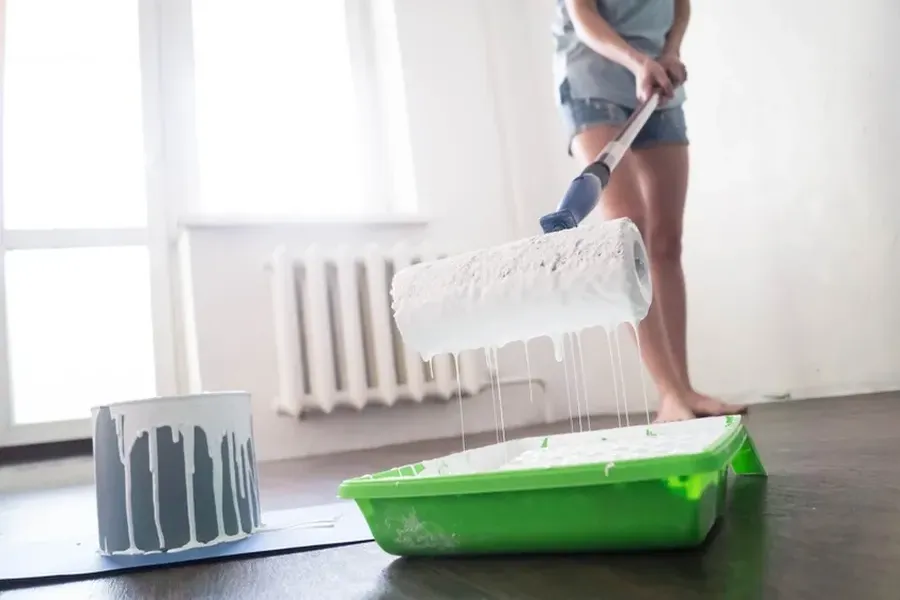 Key Differences Between Diy And Pro Interior Painting in Laredo, TX Key Differences Between Diy And Pro Interior Painting in Laredo, TX